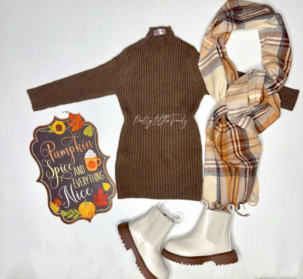 Mocha Ribbed Dress